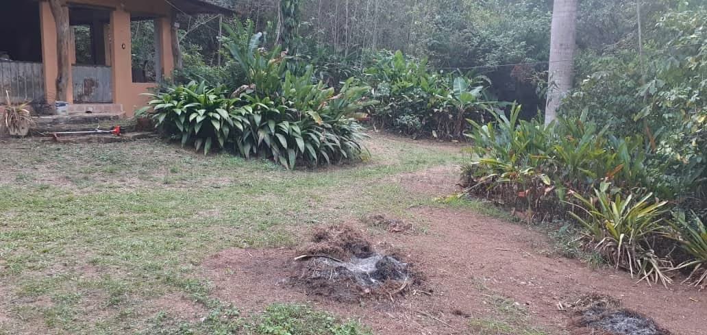 Terreno (Comercial) en Venta en Guataparo, Carabobo - 34