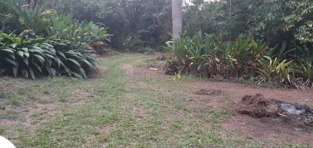 Terreno (Comercial) en Venta en Guataparo, Carabobo - 35