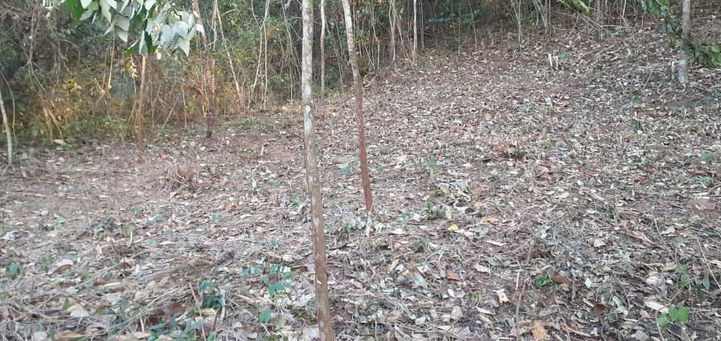 Terreno (Comercial) en Venta en Guataparo, Carabobo - 37