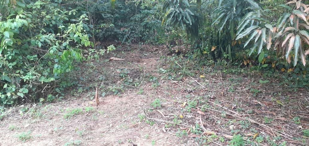 Terreno (Comercial) en Venta en Guataparo, Carabobo - 39