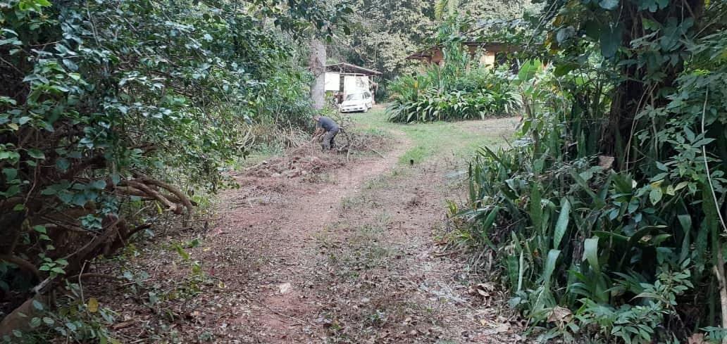 Terreno (Comercial) en Venta en Guataparo, Carabobo - 41