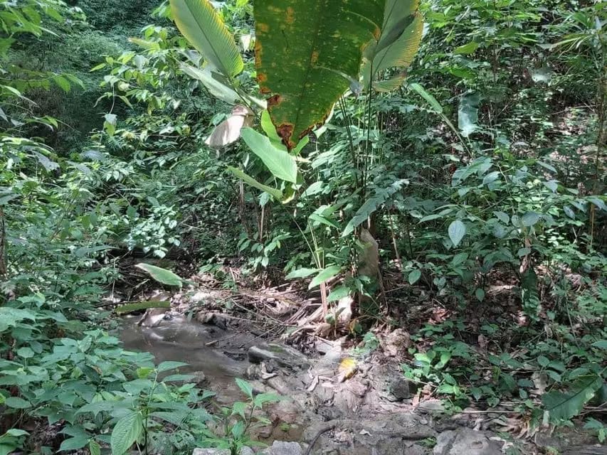 Terreno (Comercial) en Venta en Guataparo, Carabobo - 7