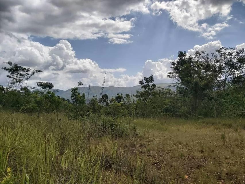 Terreno (Comercial) en Venta en Guataparo, Carabobo - 9