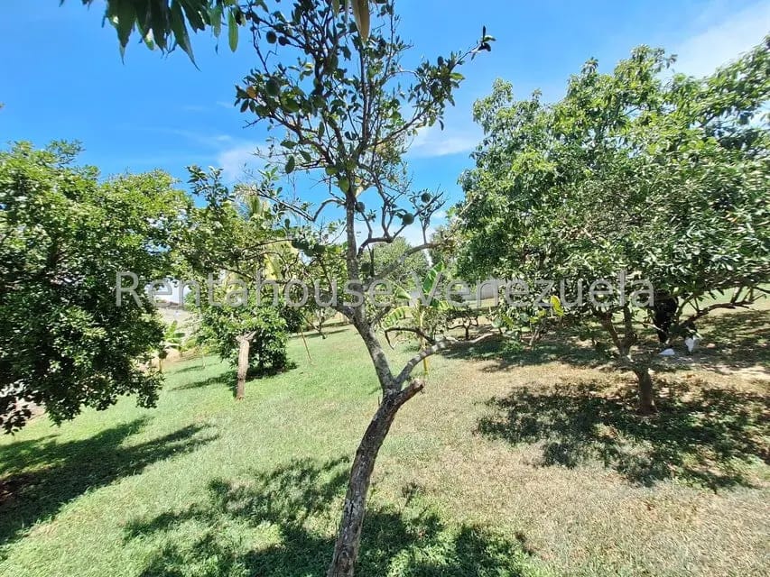 Casa (1 Nivel) en Venta en La Montanita, Lara - 28