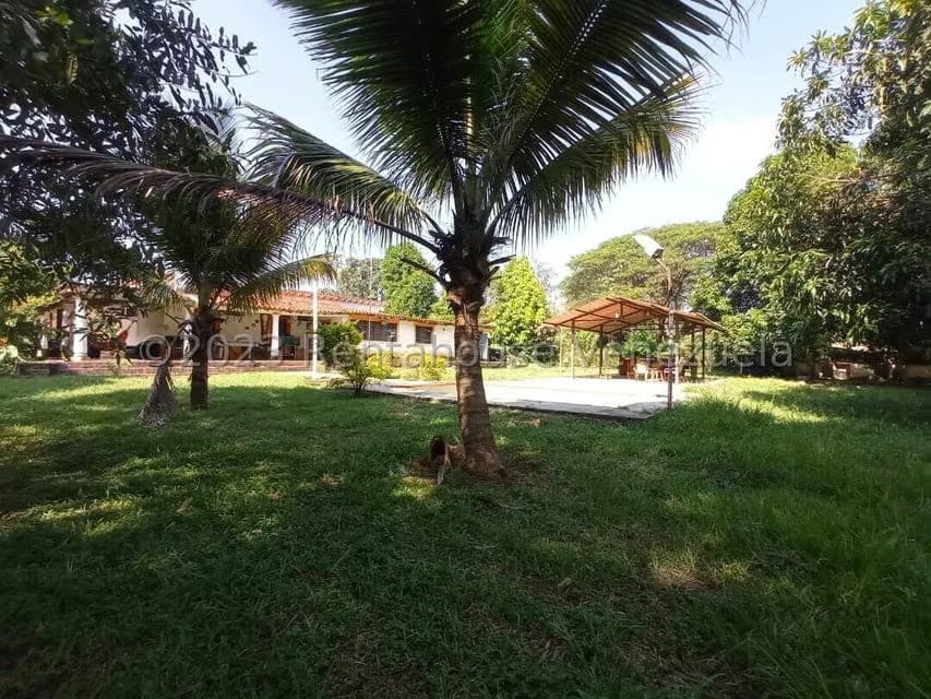 Terreno (Residencial) en Venta en Sabana del Medio, Carabobo - 33
