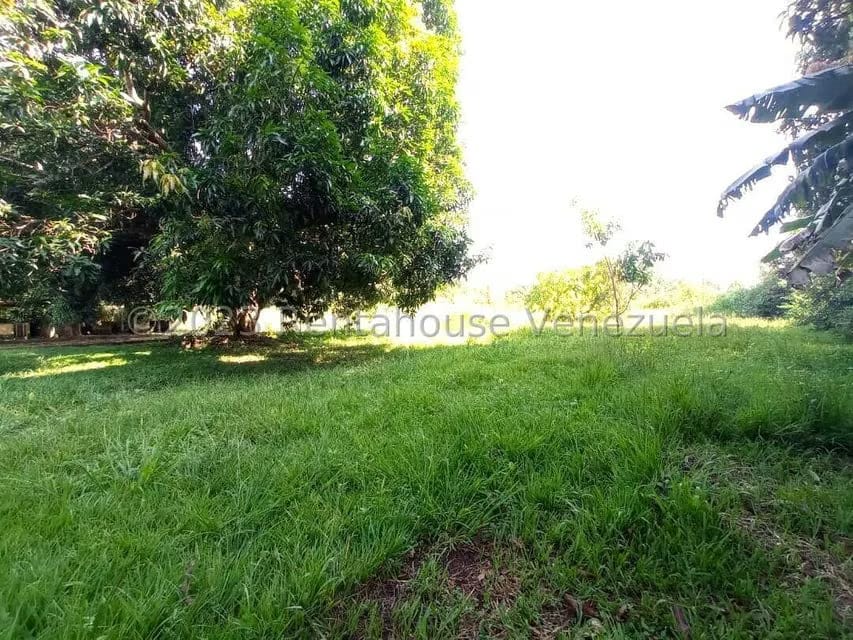 Terreno (Residencial) en Venta en Sabana del Medio, Carabobo - 35