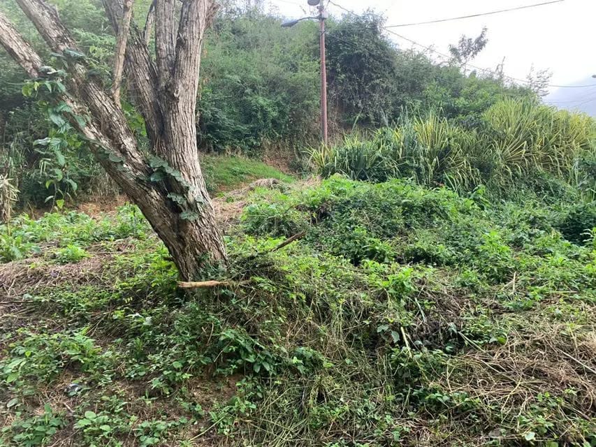 Terreno (Residencial) en Venta en Caicaguana, Distrito Metropolitano - 12