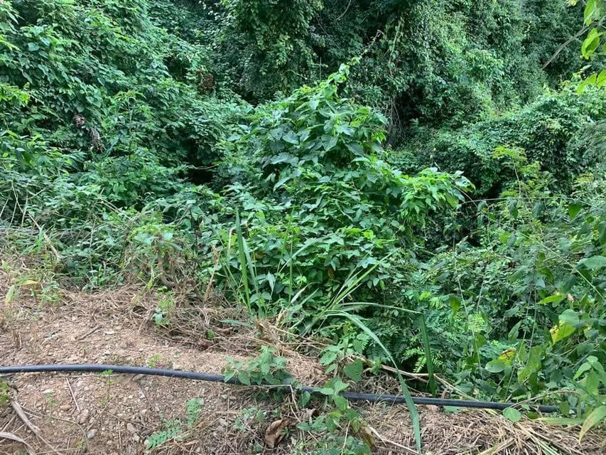 Terreno (Residencial) en Venta en Caicaguana, Distrito Metropolitano - 18