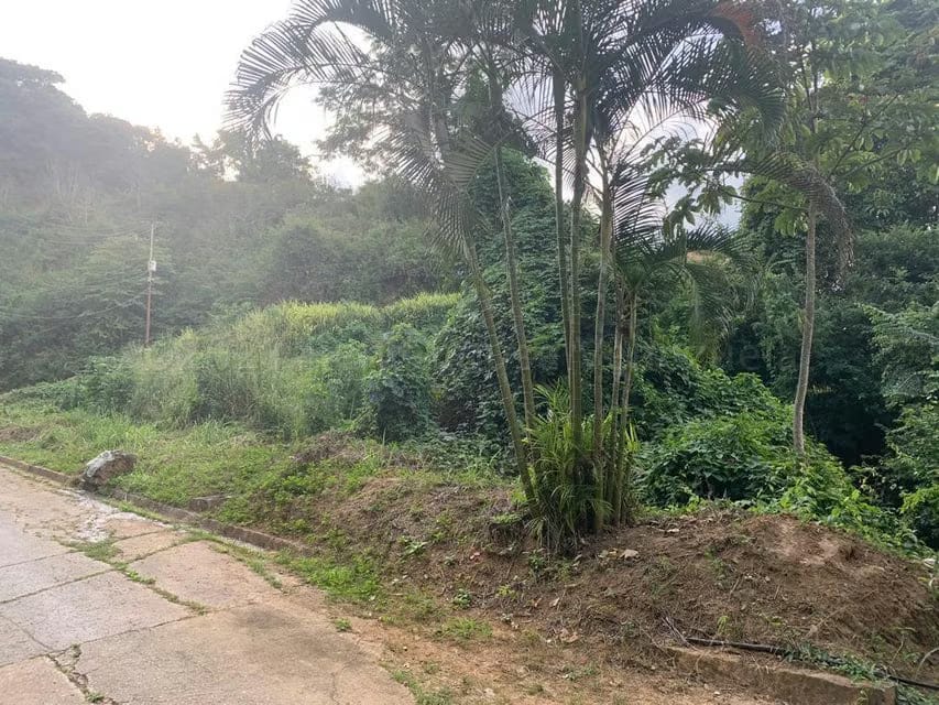 Terreno (Residencial) en Venta en Caicaguana, Distrito Metropolitano - 3