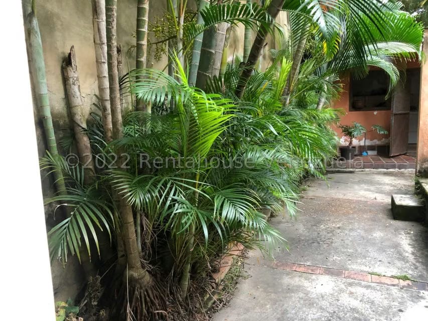 Casa (Multipes Niveles) en Venta en Manongo, Carabobo - 11