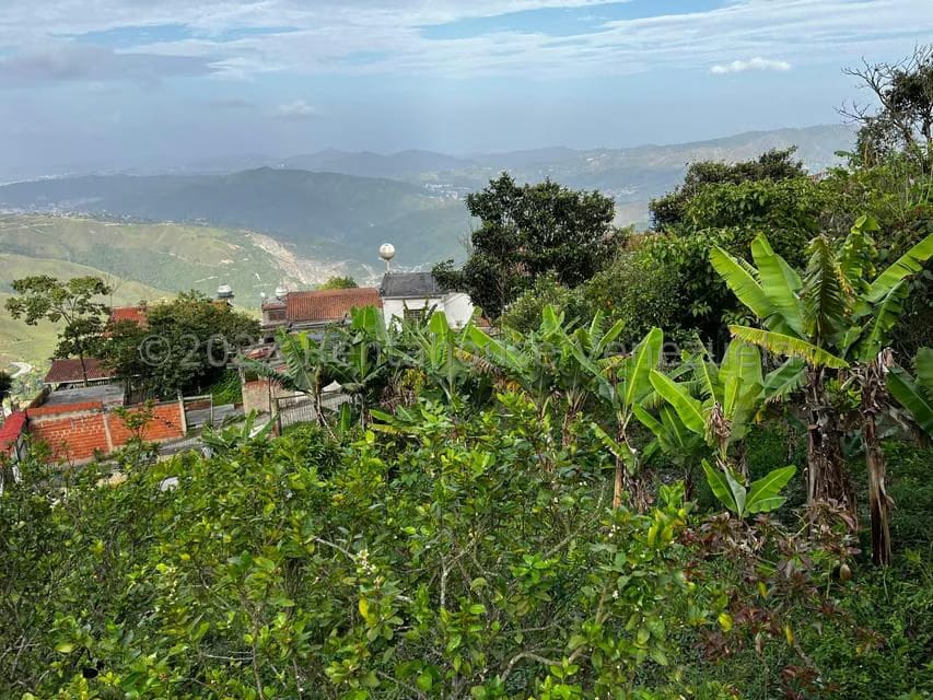 Terreno (Finca) en Venta en El Junquito, Distrito Metropolitano - 16