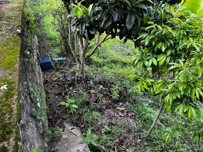Terreno (Finca) en Venta en El Junquito, Distrito Metropolitano - 17