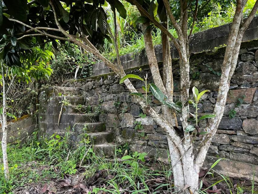 Terreno (Finca) en Venta en El Junquito, Distrito Metropolitano - 20