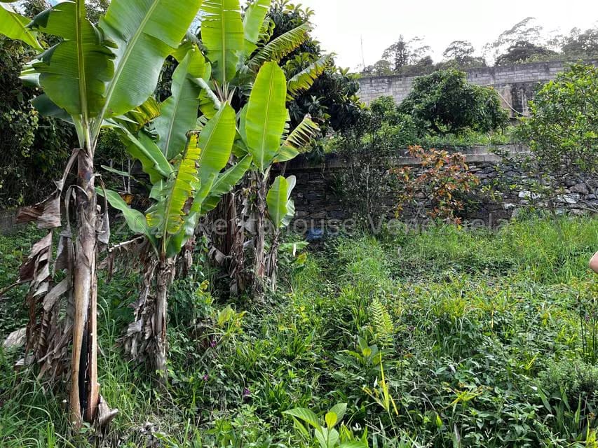 Terreno (Finca) en Venta en El Junquito, Distrito Metropolitano - 21