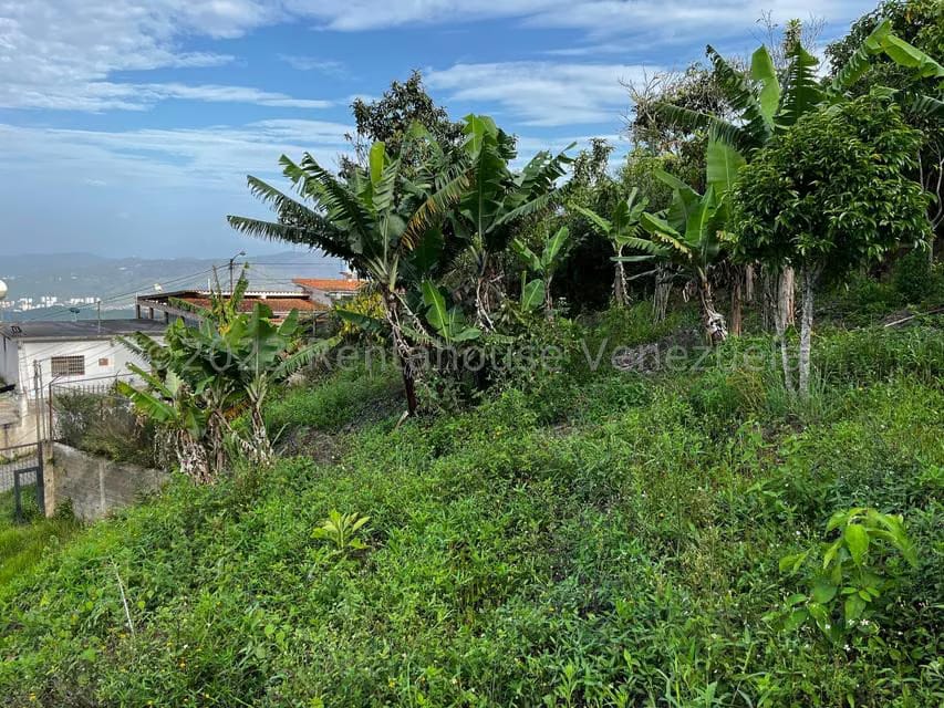 Terreno (Finca) en Venta en El Junquito, Distrito Metropolitano - 5
