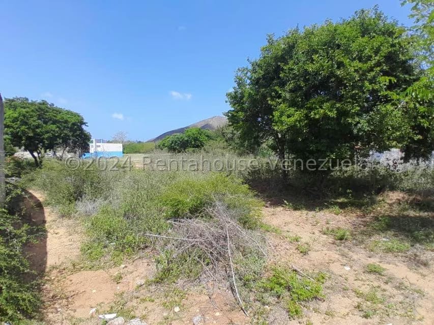 Terreno (Residencial) en Venta en Altagracia, Nueva Esparta - 9