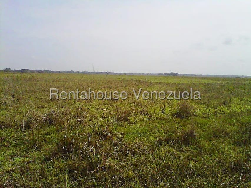 Terreno (Finca) en Venta en Arismendi, Barinas - 11