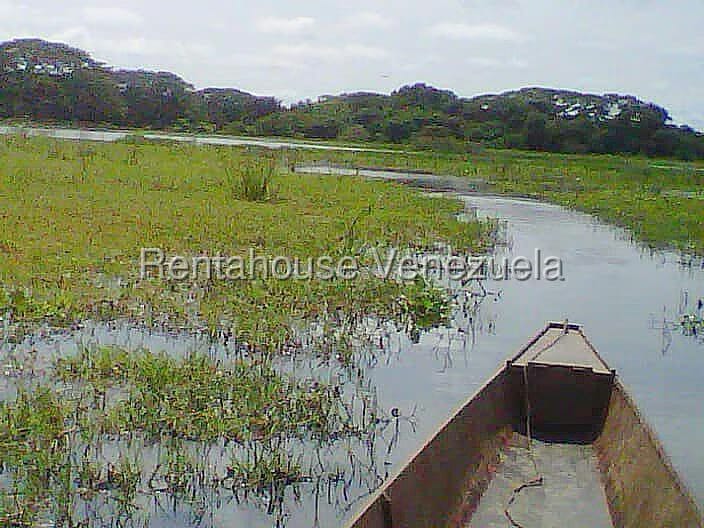 Terreno (Finca) en Venta en Arismendi, Barinas - 13