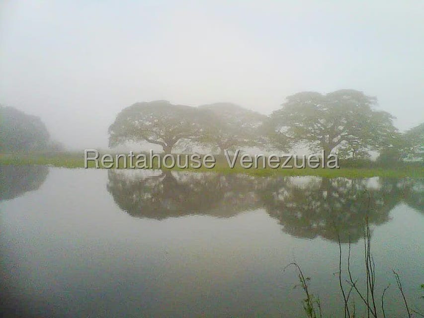 Terreno (Finca) en Venta en Arismendi, Barinas - 15