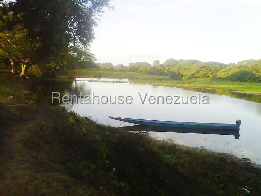 Terreno (Finca) en Venta en Arismendi, Barinas - 5