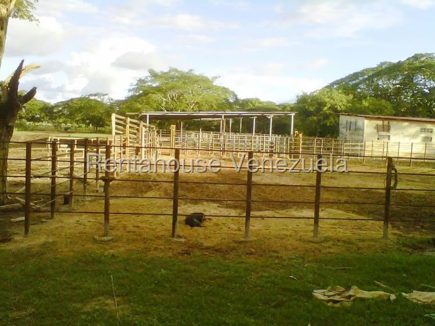 Terreno (Finca) en Venta en Arismendi, Barinas - 7