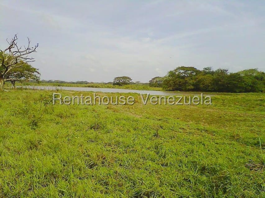 Terreno (Finca) en Venta en Arismendi, Barinas - 9