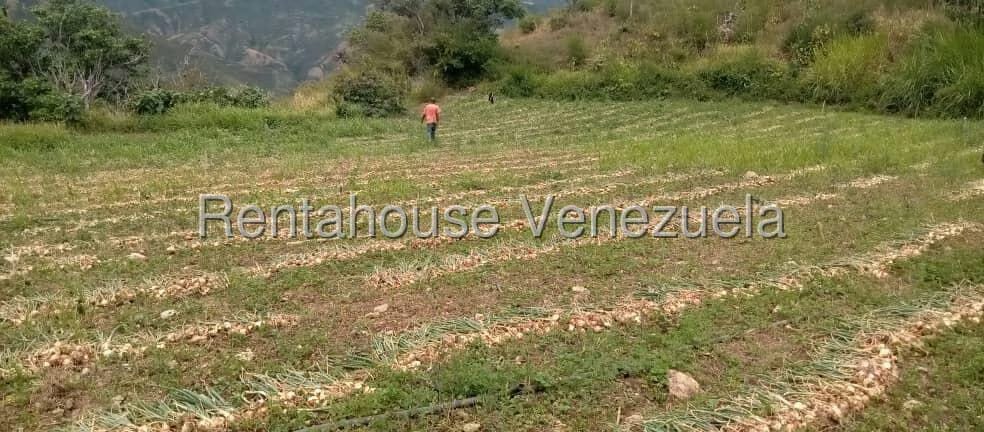 Comercial (Industrial) en Venta en Via Bocono, Trujillo - 2