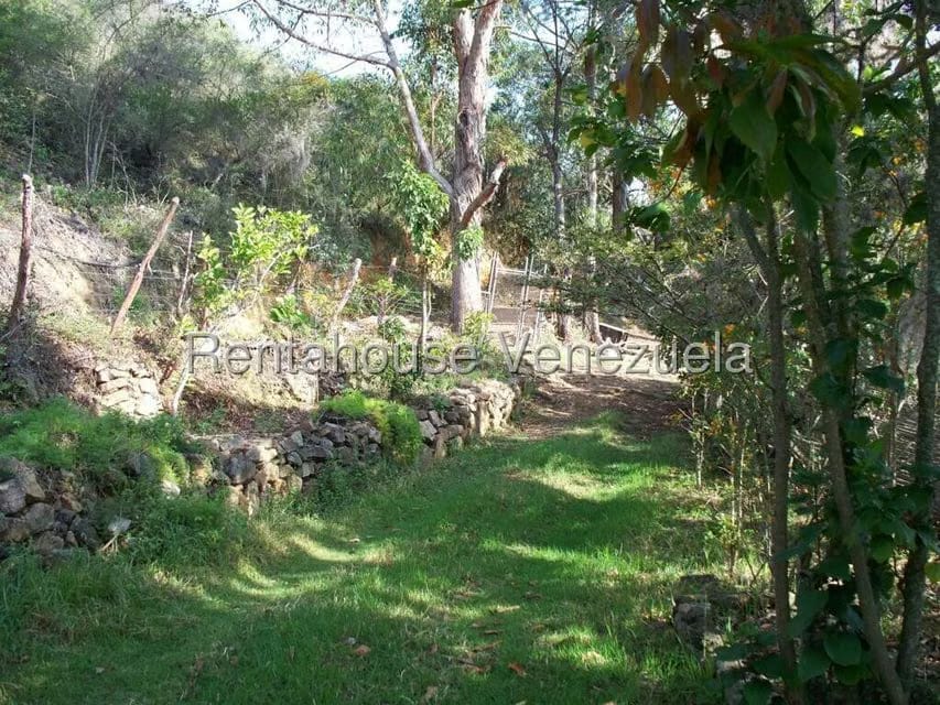 Comercial (Industrial) en Venta en Via Bocono, Trujillo - 128