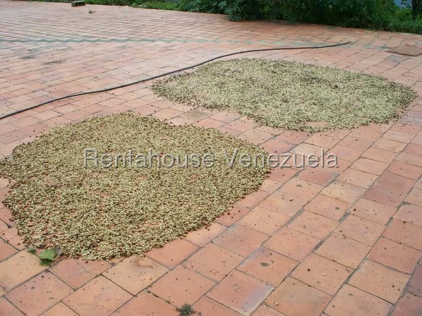 Comercial (Industrial) en Venta en Via Bocono, Trujillo - 19