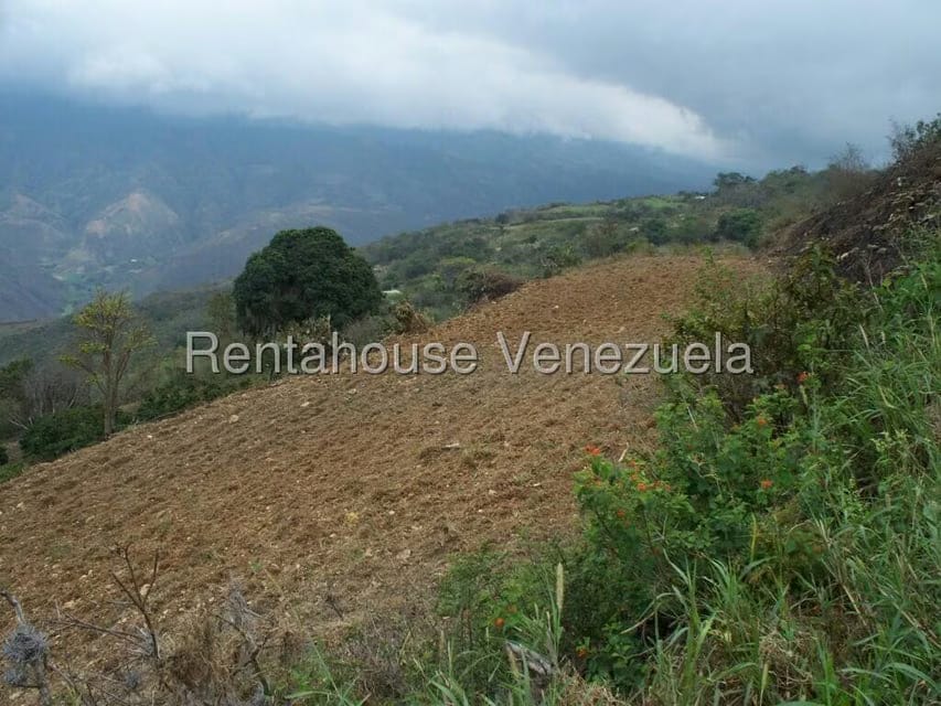 Comercial (Industrial) en Venta en Via Bocono, Trujillo - 34