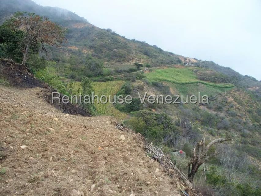 Comercial (Industrial) en Venta en Via Bocono, Trujillo - 37