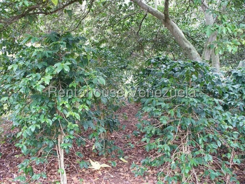 Comercial (Industrial) en Venta en Via Bocono, Trujillo - 42