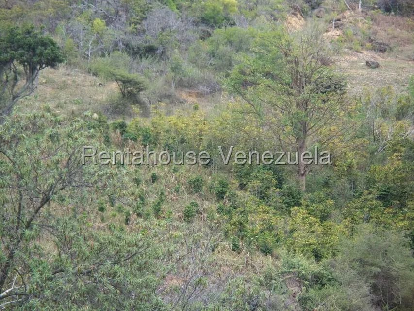 Comercial (Industrial) en Venta en Via Bocono, Trujillo - 47