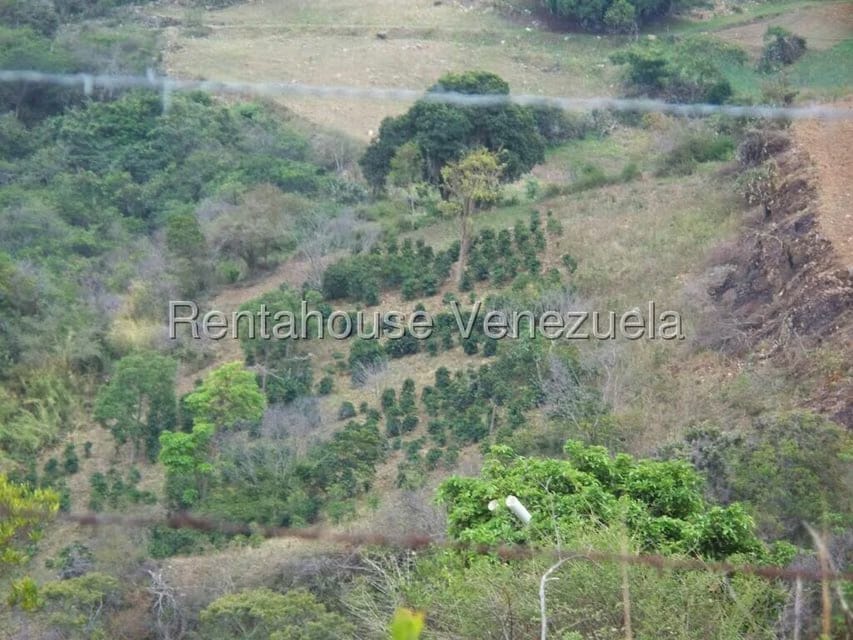 Comercial (Industrial) en Venta en Via Bocono, Trujillo - 57