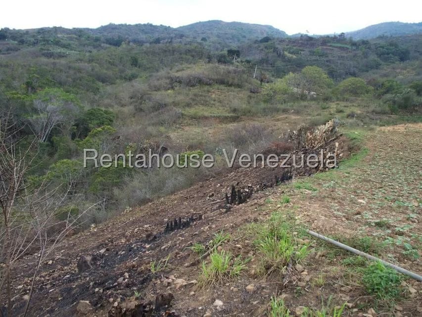 Comercial (Industrial) en Venta en Via Bocono, Trujillo - 77