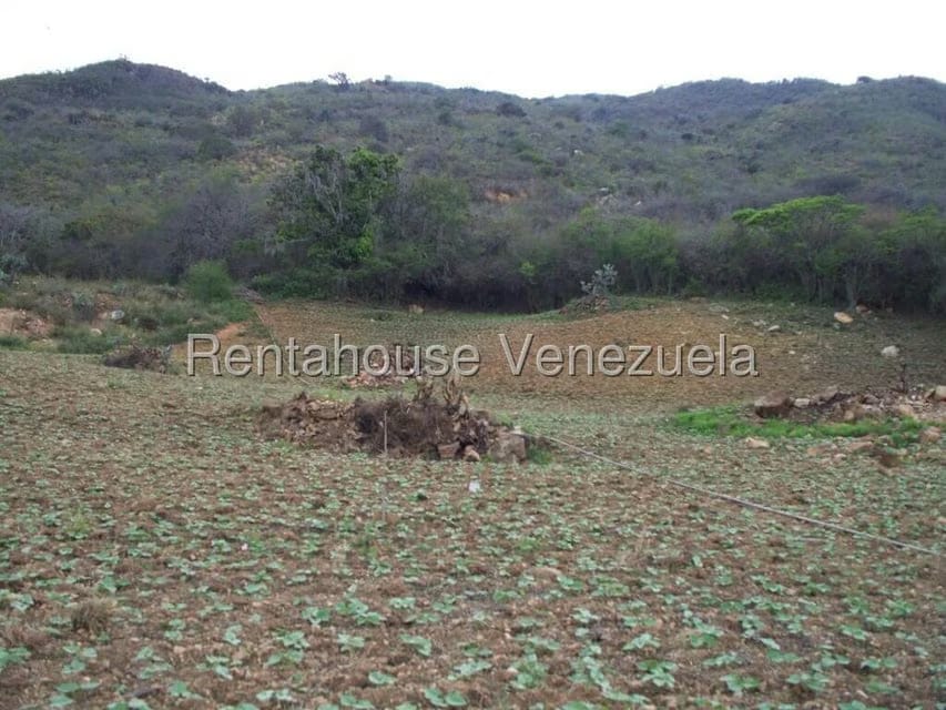 Comercial (Industrial) en Venta en Via Bocono, Trujillo - 78