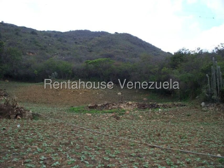 Comercial (Industrial) en Venta en Via Bocono, Trujillo - 79
