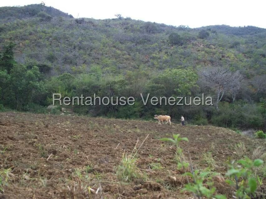 Comercial (Industrial) en Venta en Via Bocono, Trujillo - 82