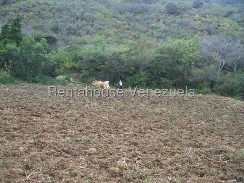 Comercial (Industrial) en Venta en Via Bocono, Trujillo - 84