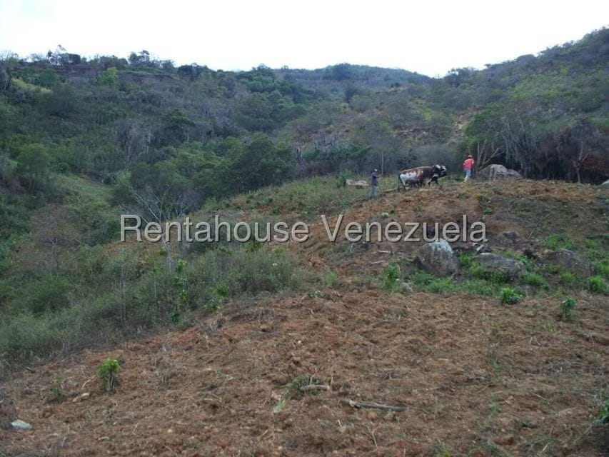 Comercial (Industrial) en Venta en Via Bocono, Trujillo - 85