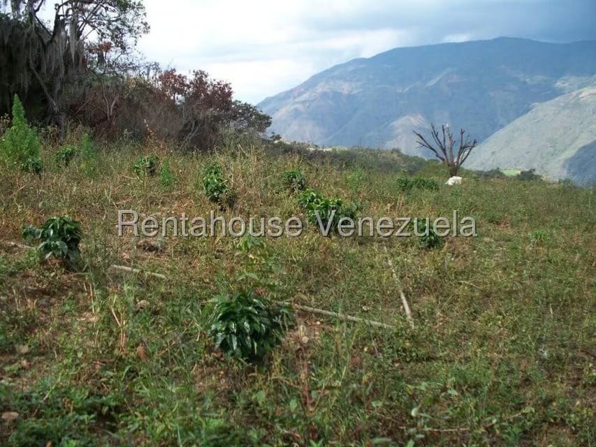 Comercial (Industrial) en Venta en Via Bocono, Trujillo - 87