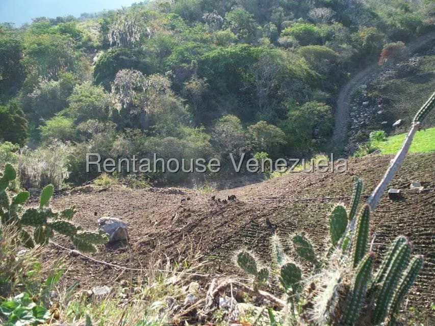 Comercial (Industrial) en Venta en Via Bocono, Trujillo - 90