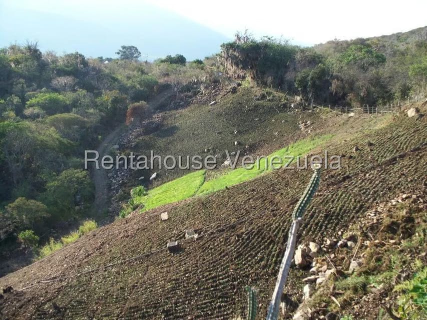 Comercial (Industrial) en Venta en Via Bocono, Trujillo - 91