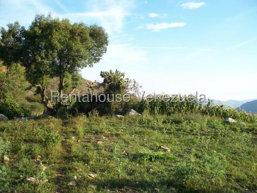 Comercial (Industrial) en Venta en Via Bocono, Trujillo - 95