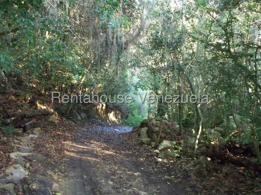 Comercial (Industrial) en Venta en Via Bocono, Trujillo - 97