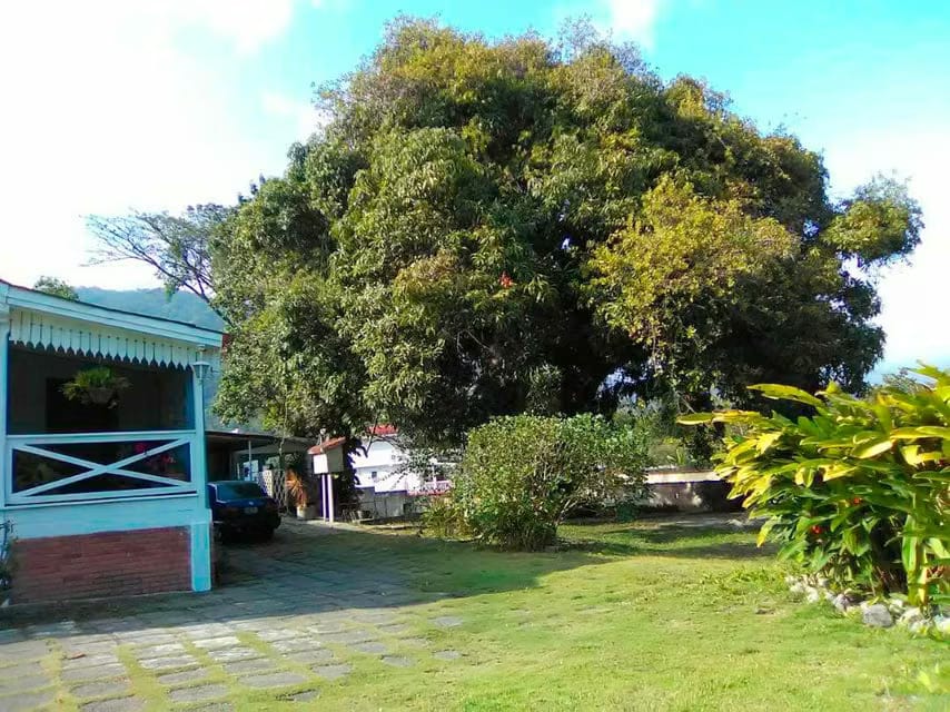 Casa (1 Nivel) en Venta en San Felipe, Yaracuy - 10
