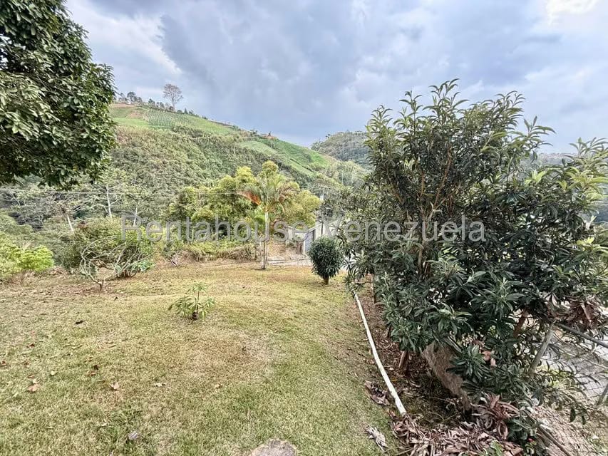 Casa (Multipes Niveles) en Venta en Colinas de San Antonio, Miranda - 72