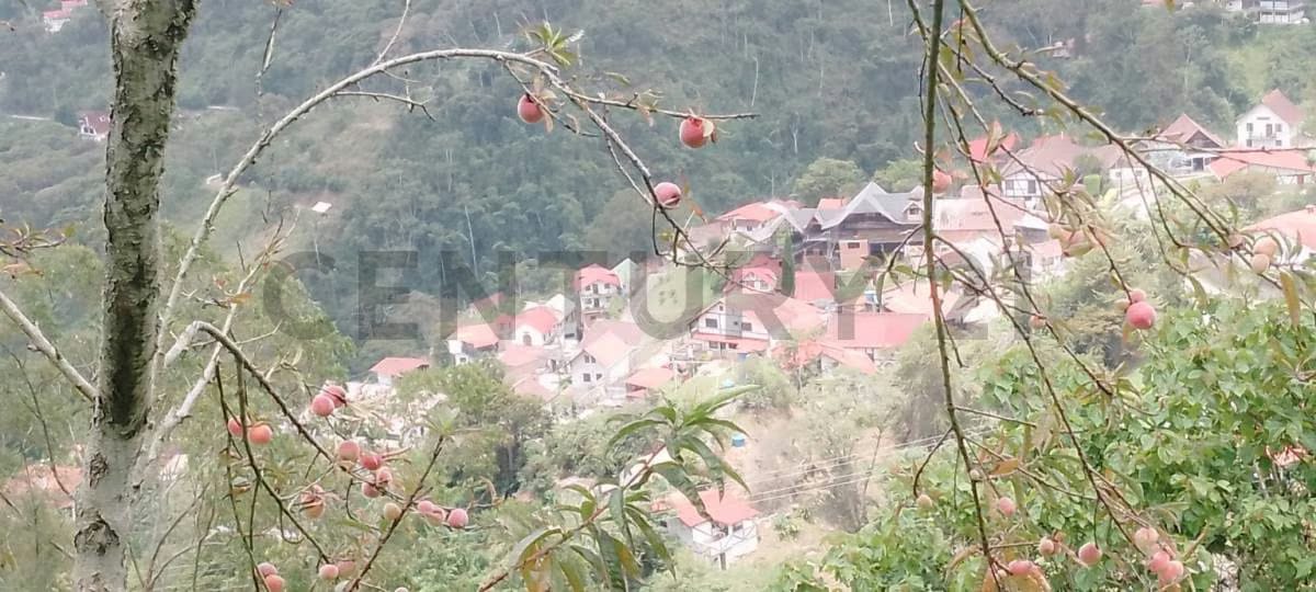 VENTA DE TERRENO LA COLONIA SECTOR LA BALLESTA - 7