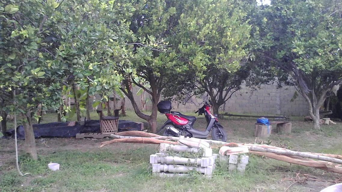 Terreno (Residencial) en Venta en Higuerote, Miranda - 6