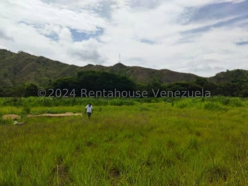 Terreno (Comercial) en Venta en El Paseo, Aragua - 3